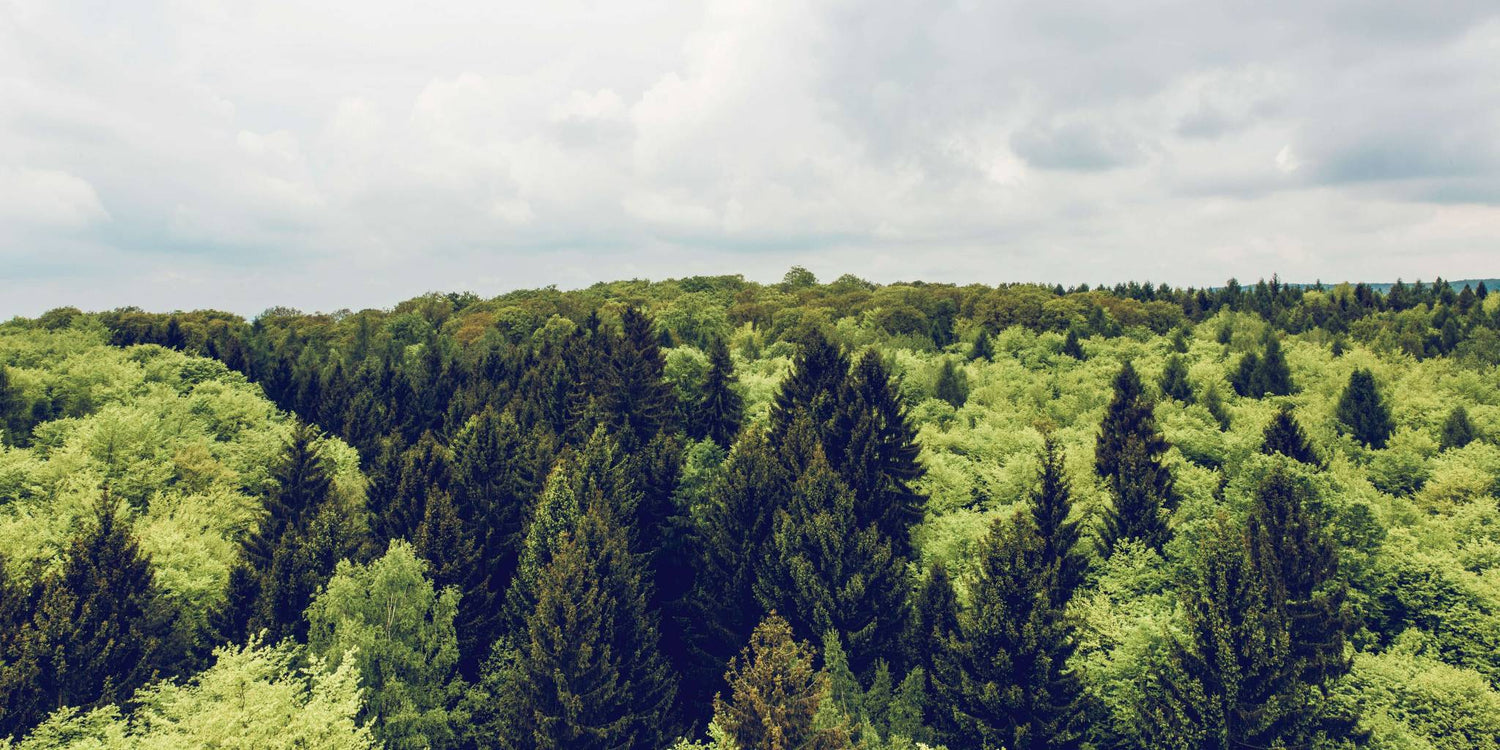 Gardenreet Brand Story